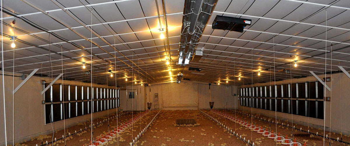 انواع سیستم های گرمایش تابشی