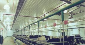 گرمایش تابشی دامداری