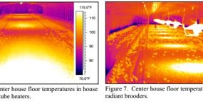 سیستم های گرمایش تابشی مرغداری